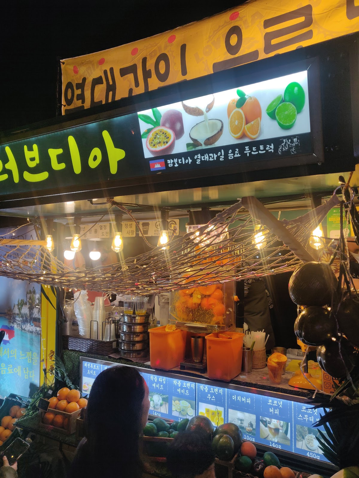 Yeouido Spring Flower Festival 2026: Practical Visitor's Guide
