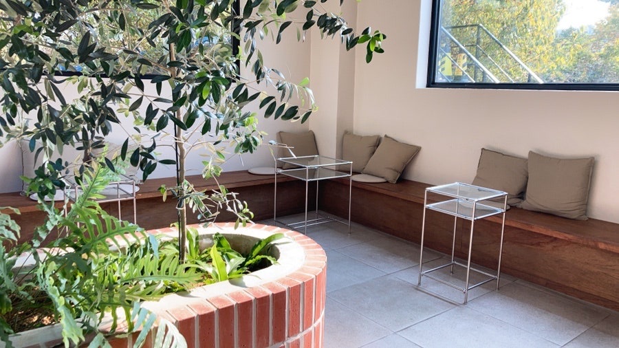 Cafe Sanare 5