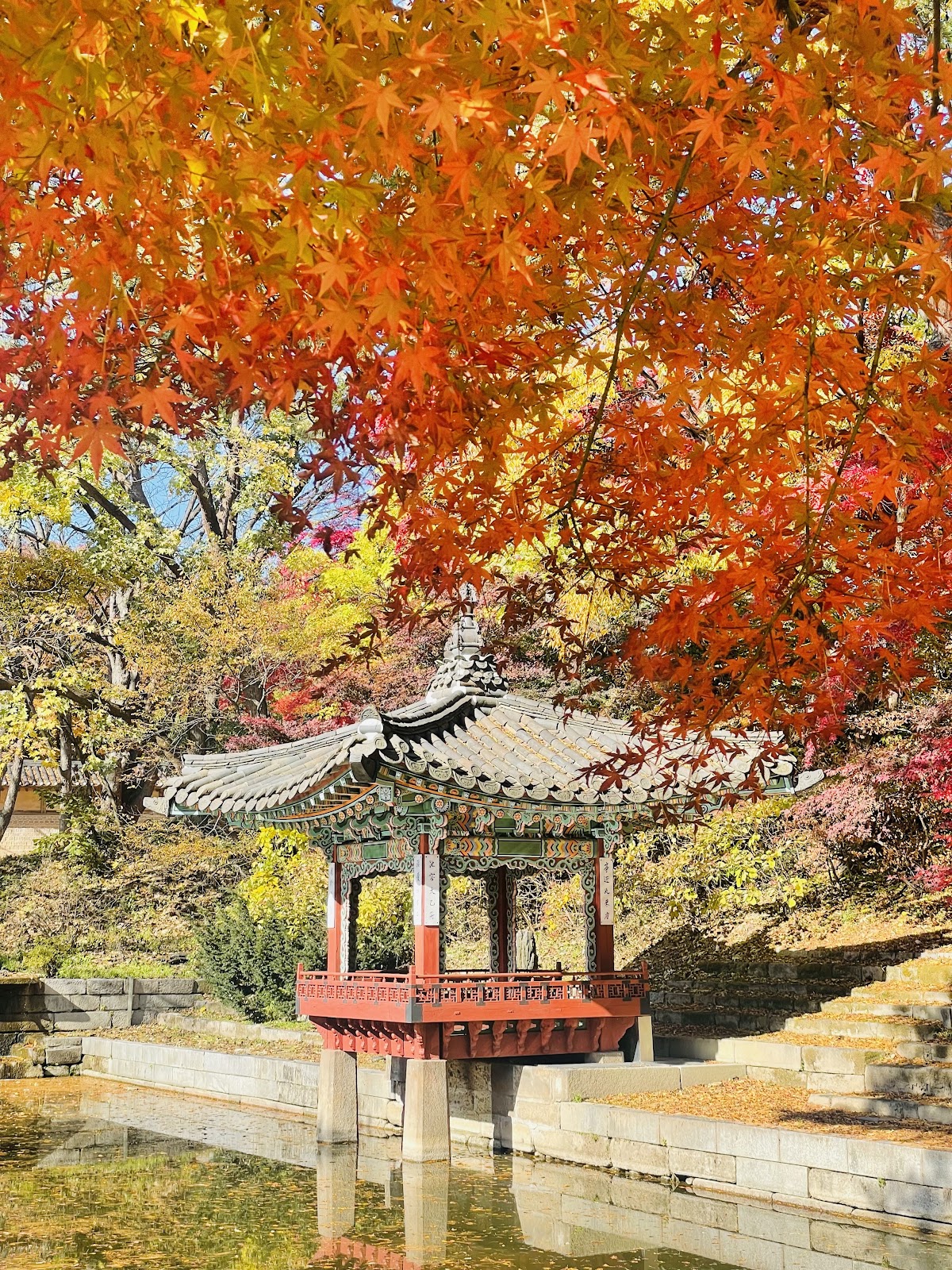 Cherry Blossoms at Seoul's Historic Sites 2026