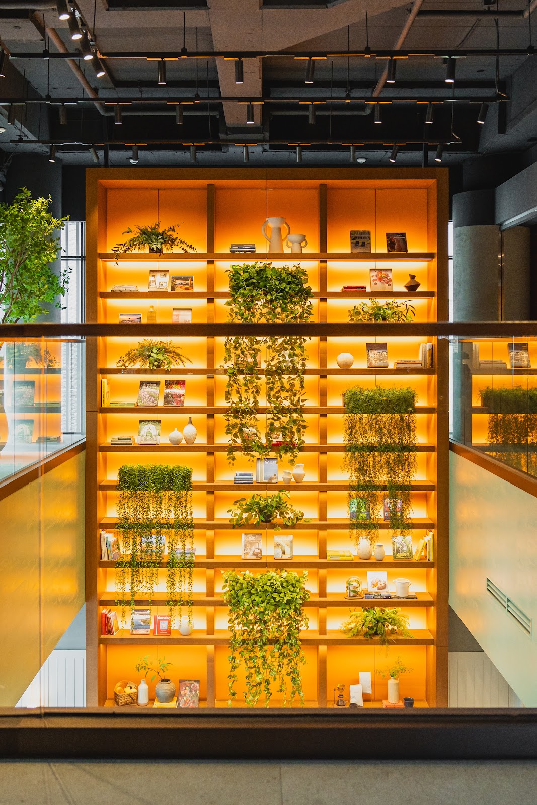 Collage — Michelin-Starred French Dining at Ananti Gangnam