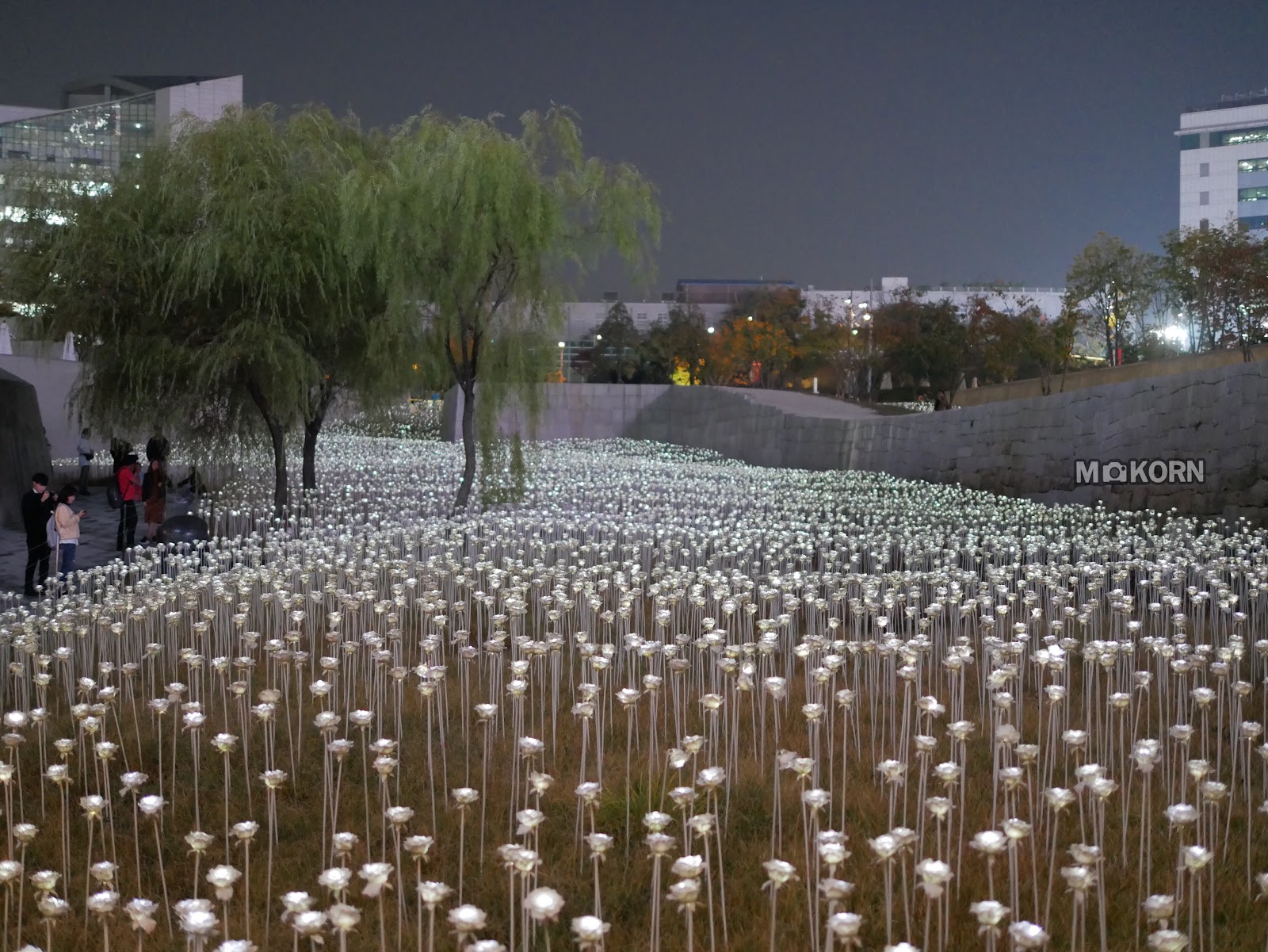 DDP Dongdaemun Design Plaza — the outdoor plaza with a field of illuminated light installations at night
