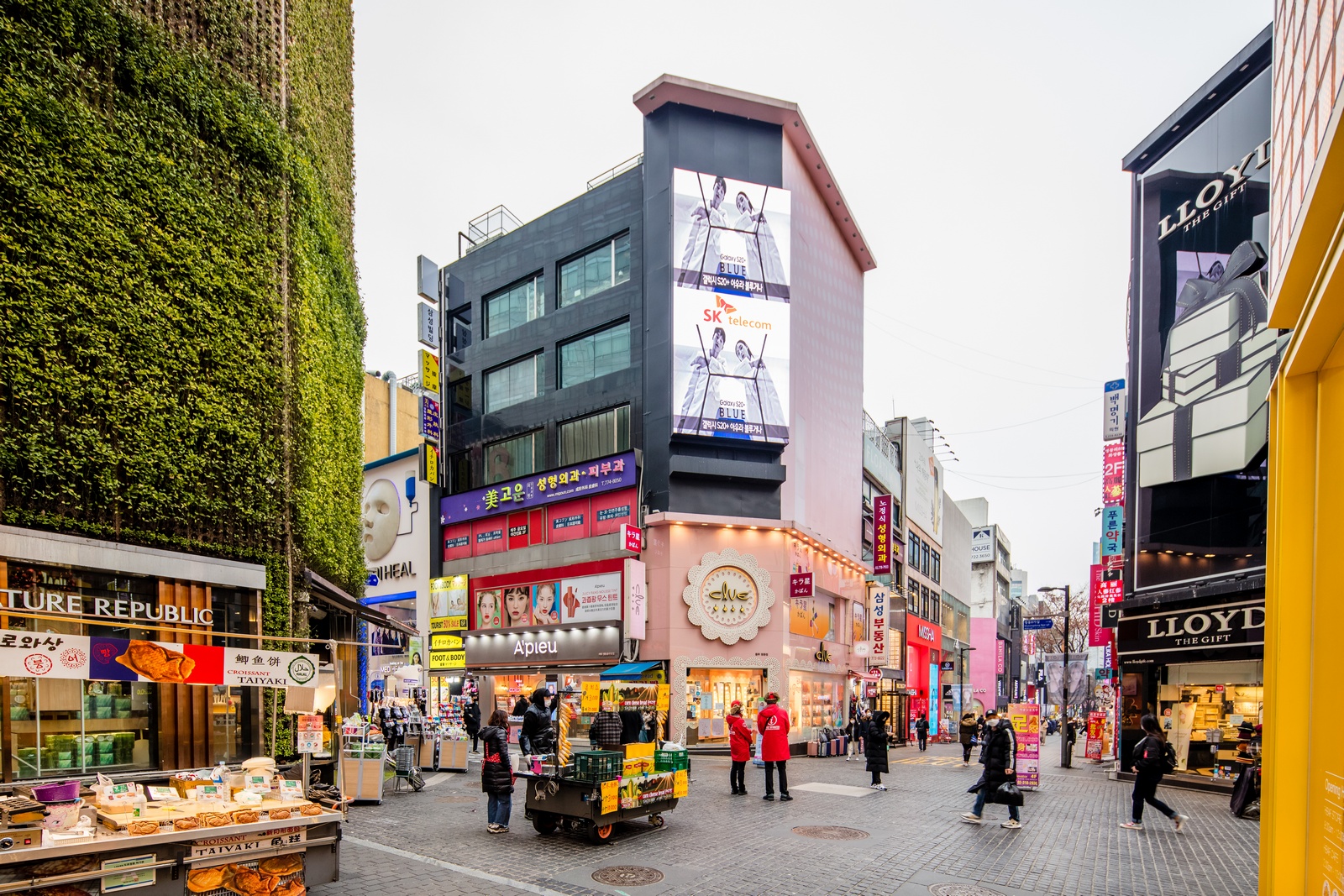 명동