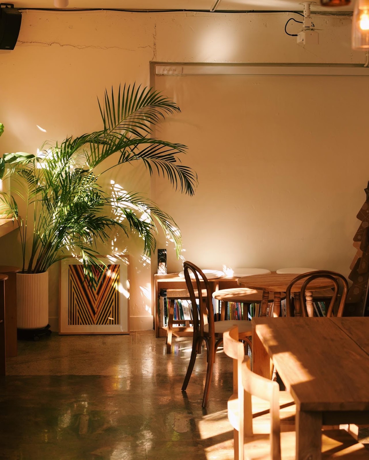 Nono Shop & Cafe 2