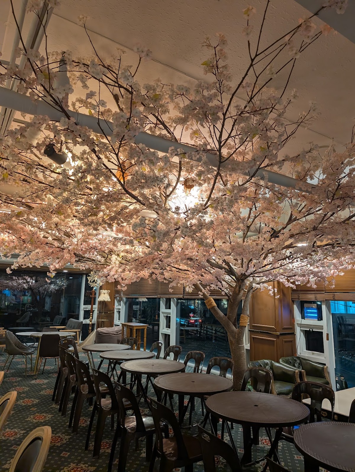 Noop Cafe interior