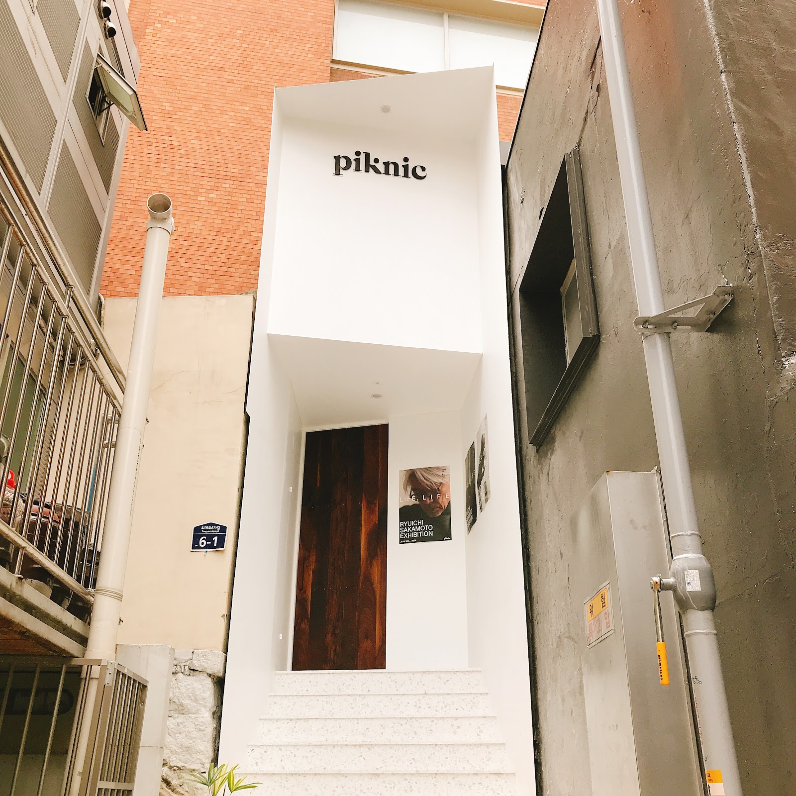 Piknic 4