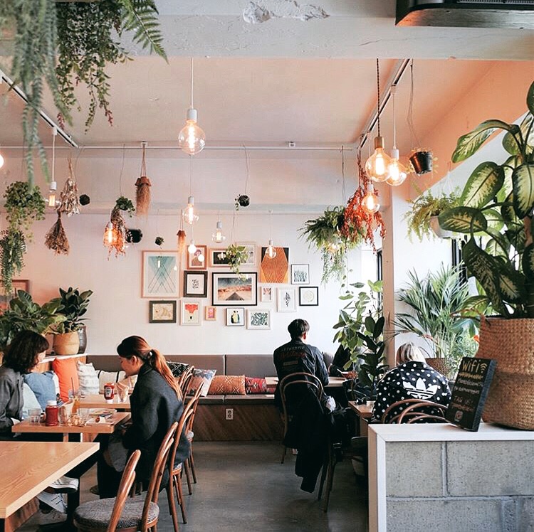 Plant Cafe Itaewon — the plant-forward interior with botanical elements