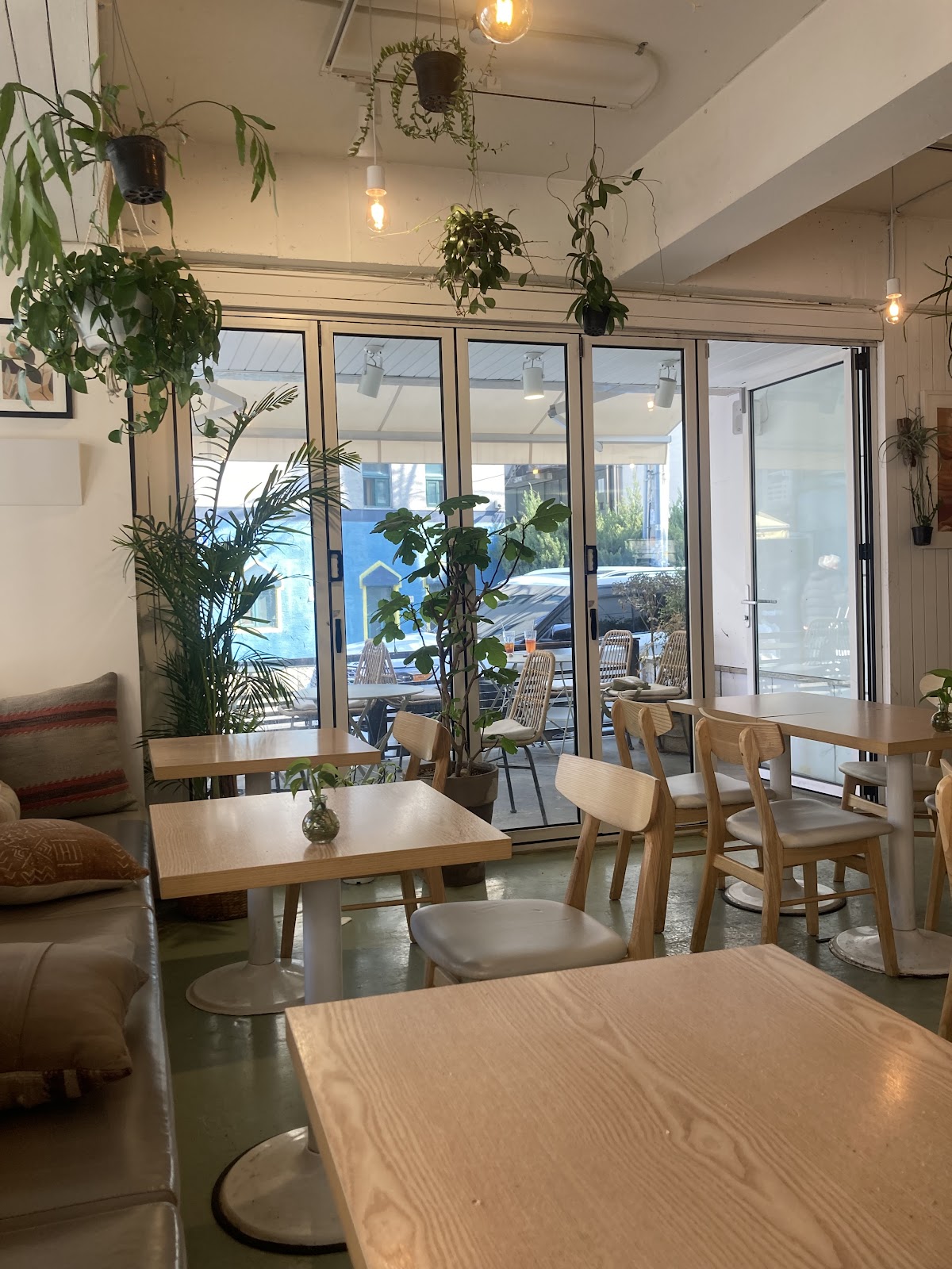 Plant Cafe Yeonnam — the bright, plant-filled interior