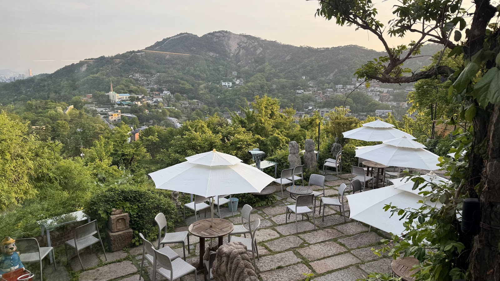 Sanmotoonge (Mountain Corner Cafe) 3