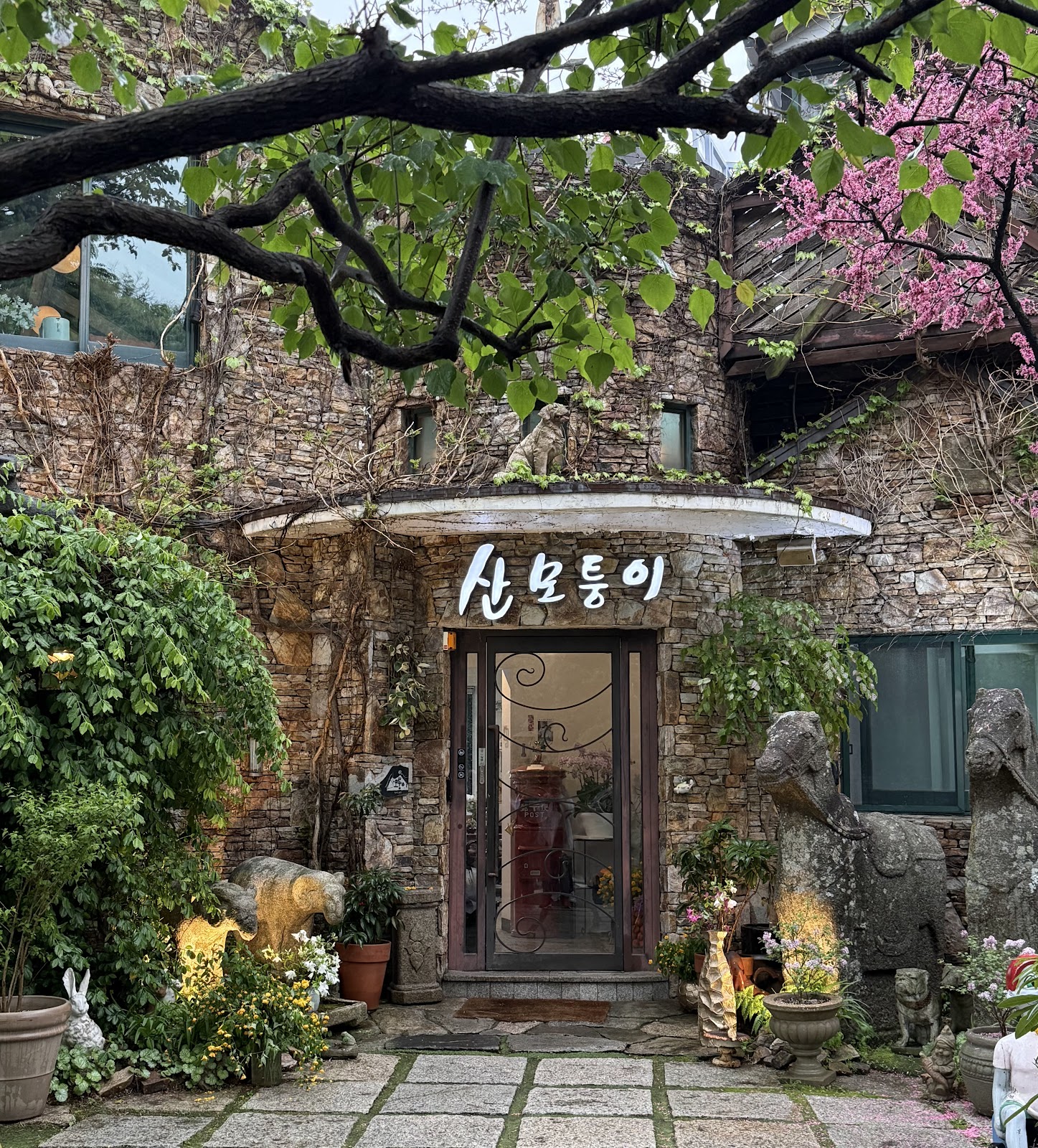 Sanmotoonge (Mountain Corner Cafe) 4