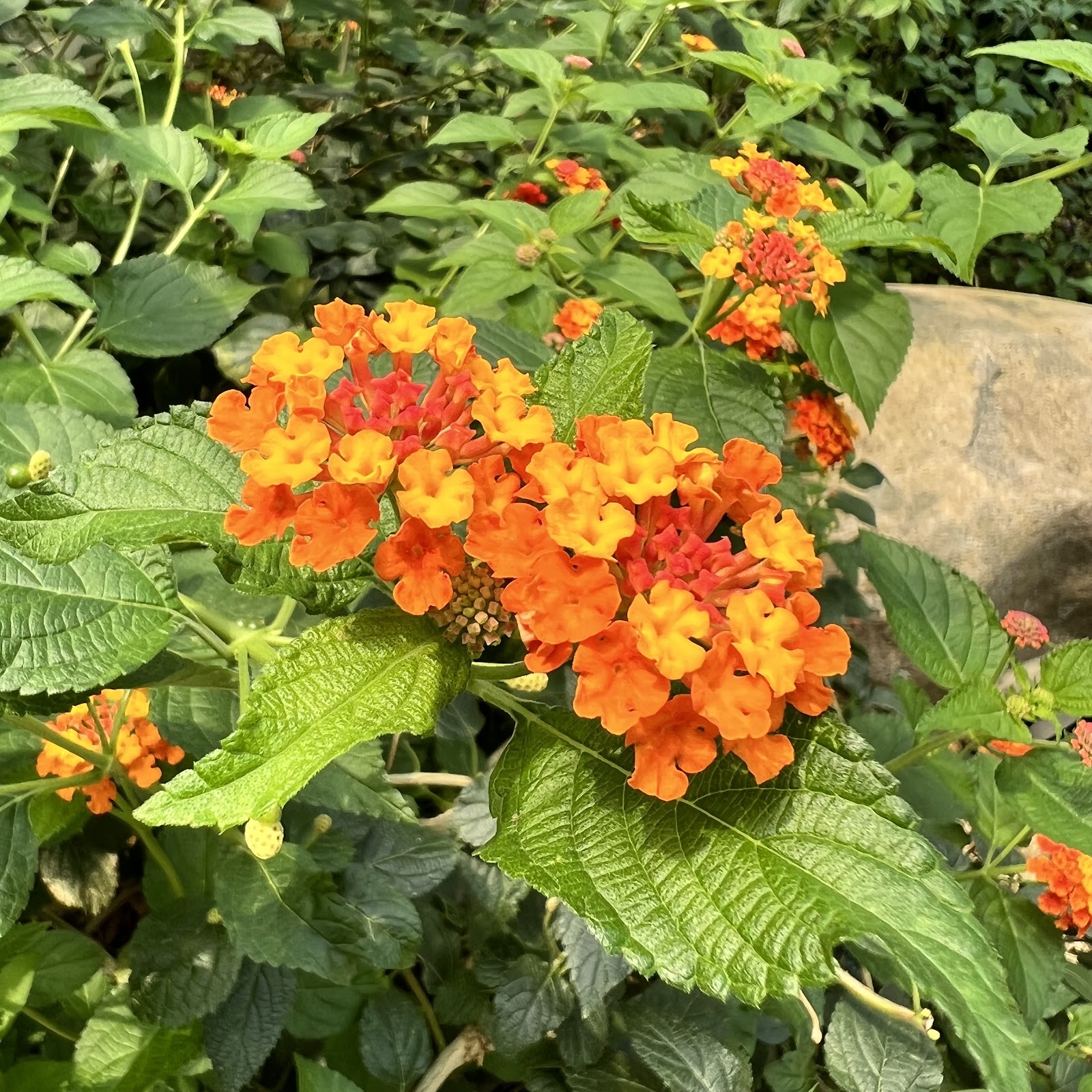 서울식물원 5