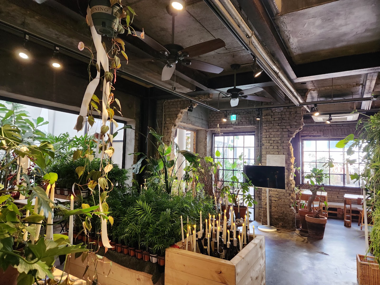 アーバンプラント (Urban Plant) 3