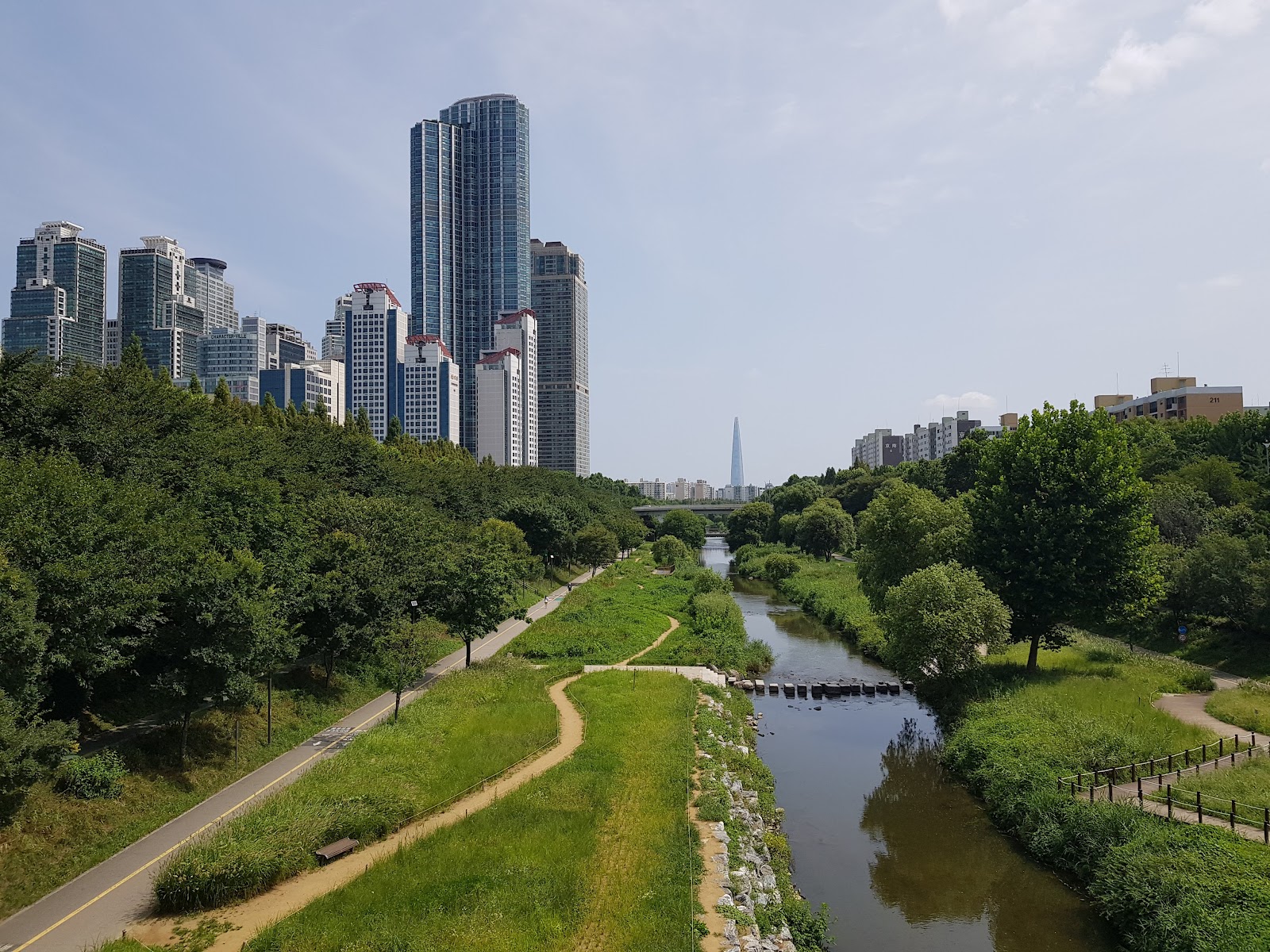 Yangjae Stream path in summer green, with Lotte World Tower visible in the distance
