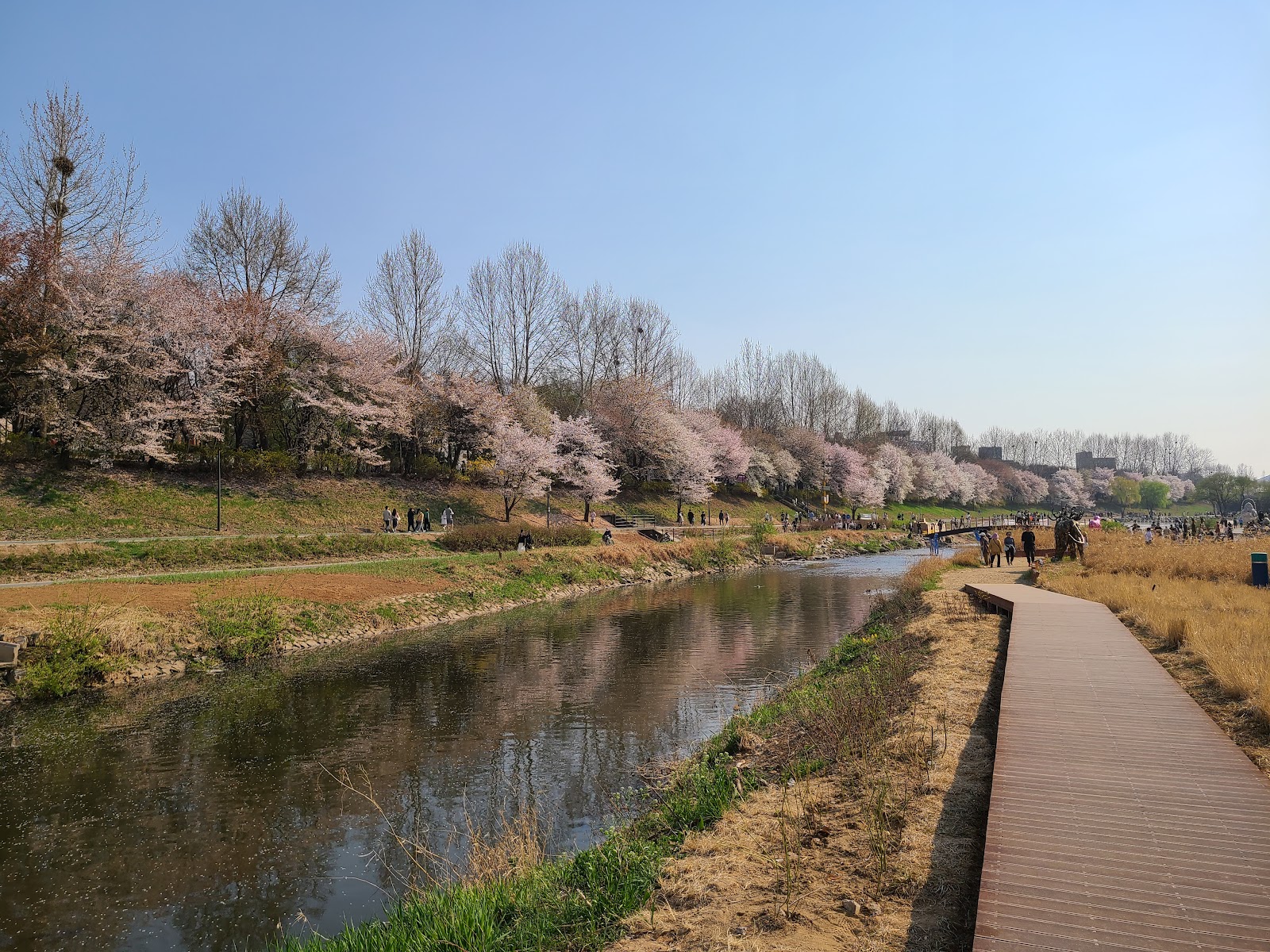 Yangjaecheon Riverside Culture Rest Area (양재천 수변문화쉼터) 5